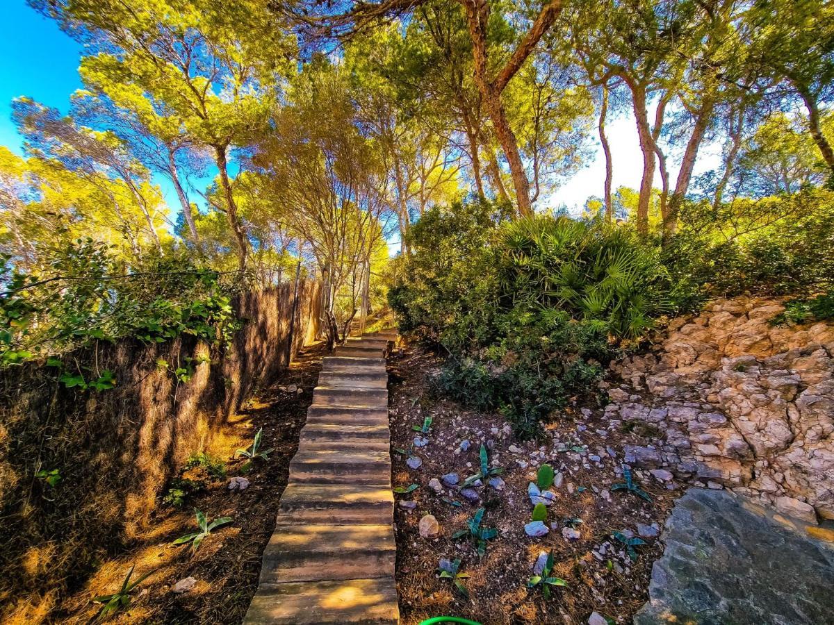 Villa Cala Llamp Andraitx Buitenkant foto